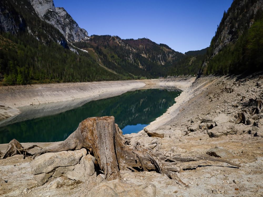 Austrian agriculture suffers nearly €1 billion in drought damage