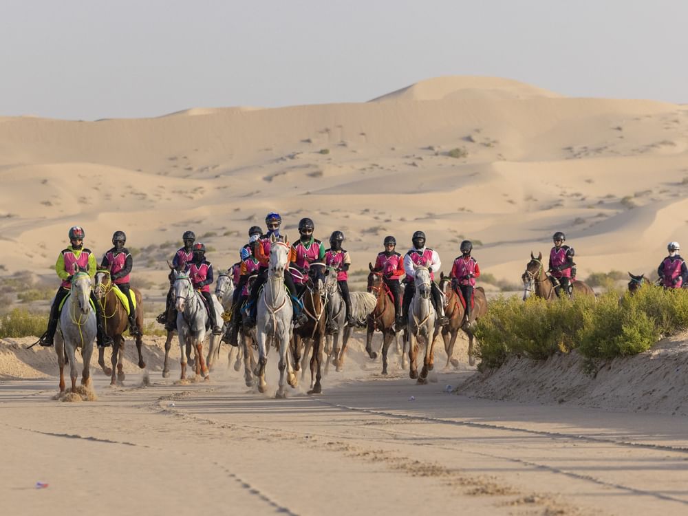 نجاح لافت لمهرجان سلطان بن زايد للقدرة بمشاركة 410 فرسان وفارسات