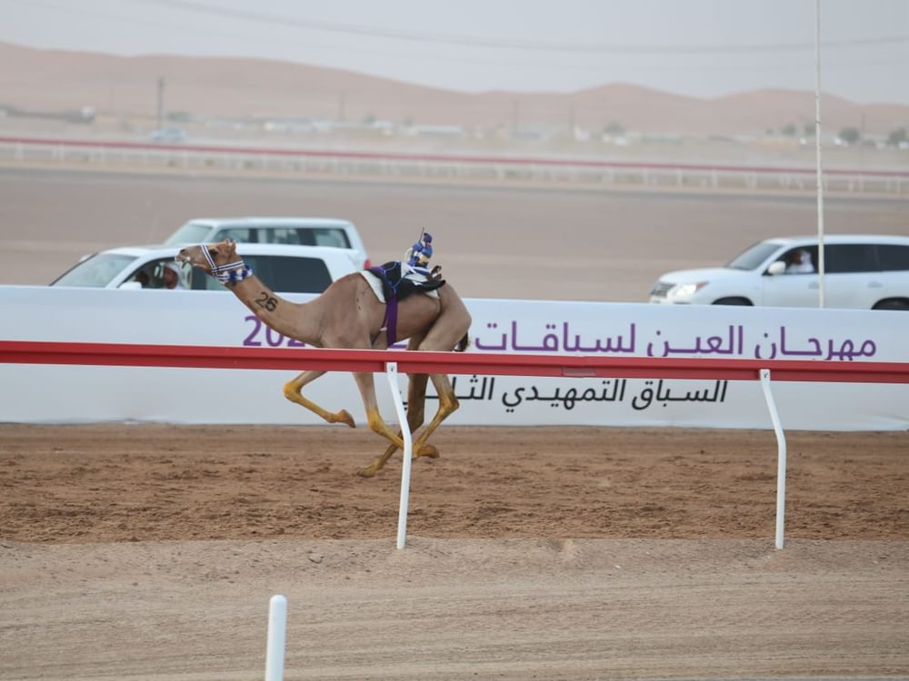 السباق التمهيدي الثالث في مهرجان العين للهجن ينطلق 11 سبتمبر 