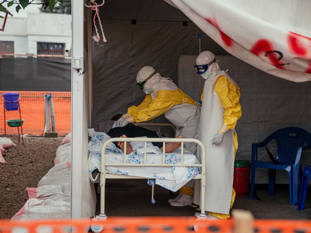 New transmission from animals likely caused Congo-Uganda Ebola outbreak, study says