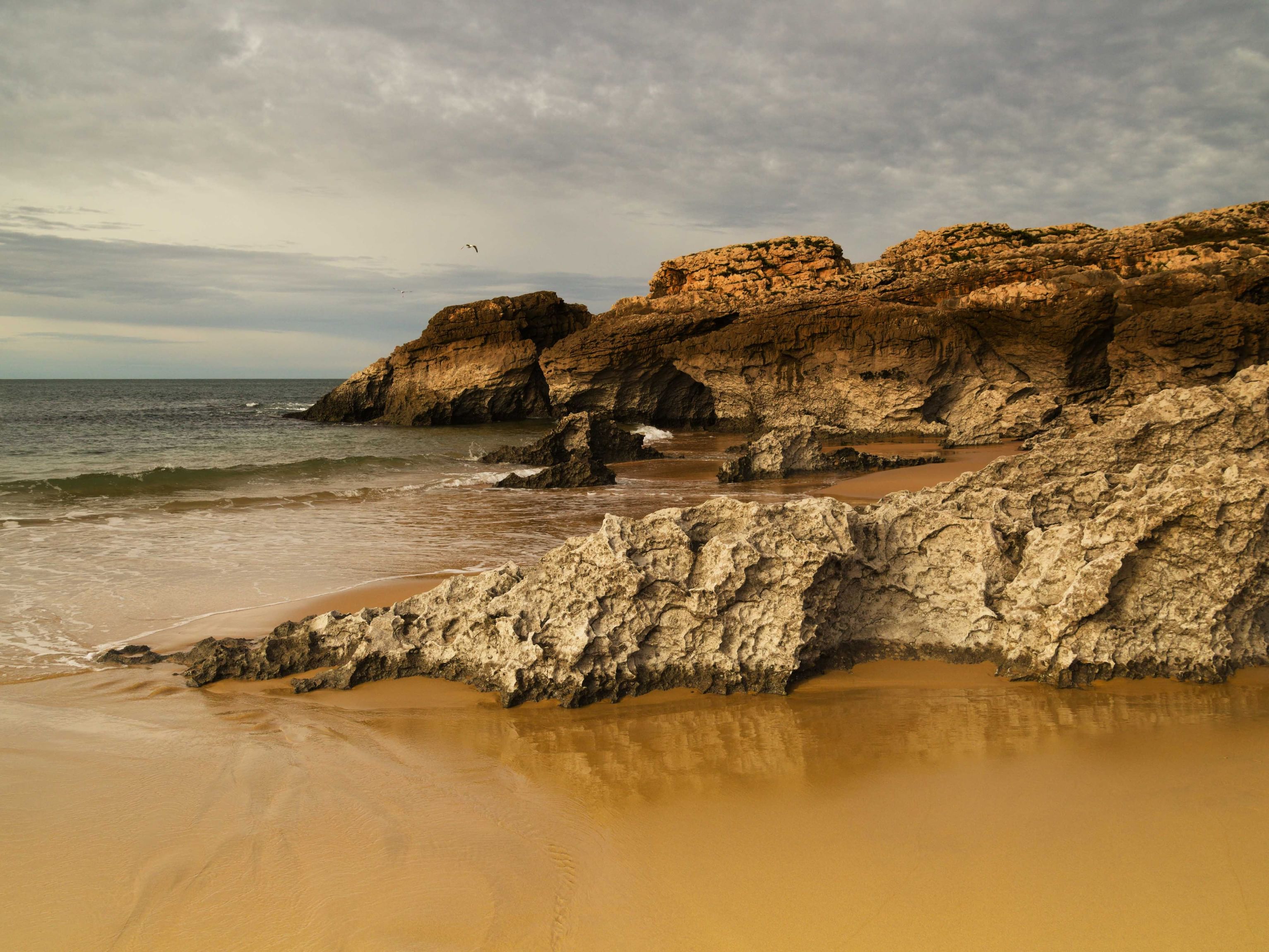 5 dead, 1 missing after footbridge collapses in northern Spain