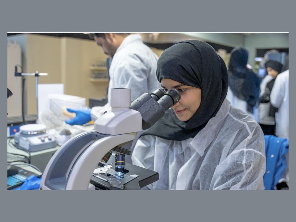 بلدية عجمان تفحص 238 عينة عسل خلال مهرجان ليوا عجمان للرطب والعسل