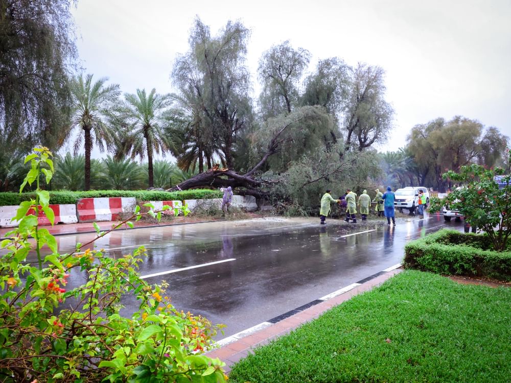 بلدية مدينة العين تطبق منظومة متكاملة للاستجابة للحالة الجوية 