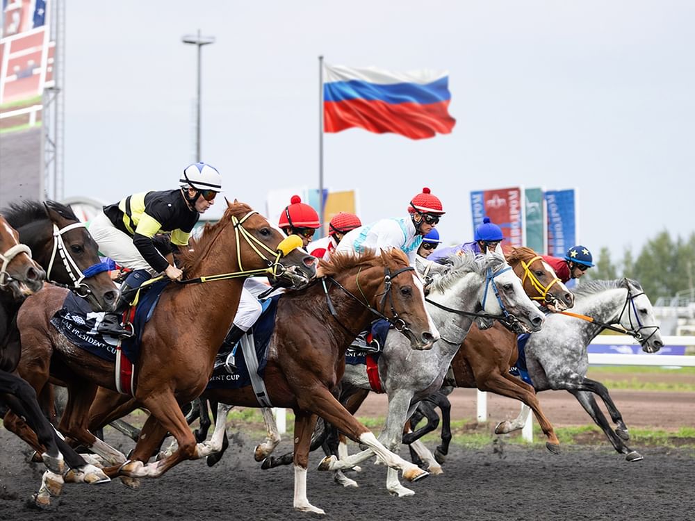 11 horses to compete for title of UAE President’s Cup for Purebred Arabian Horses in Kazan