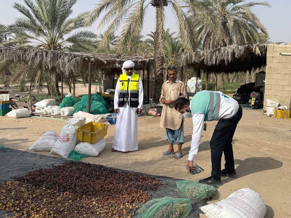 Le groupe Tadweer lance la campagne « Nos fermes durables »