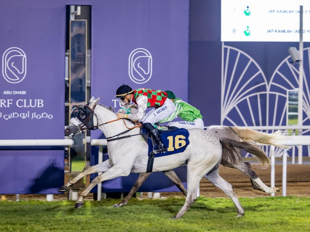 "الثنائيات" تحقق الفوز وتتصدر المشهد في افتتاح موسم سباقات الخيول بأبوظبي