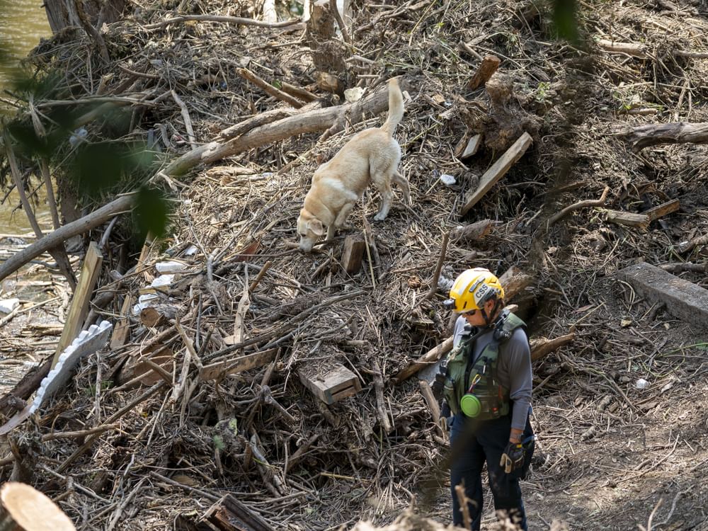 美国得州洪灾死亡人数升至131人