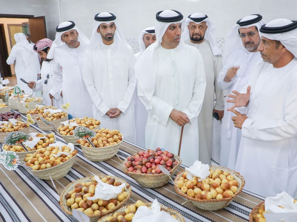 Al Dhaid Date Festival 2024 Concludes, Crowns 130 Winners From Palm ...