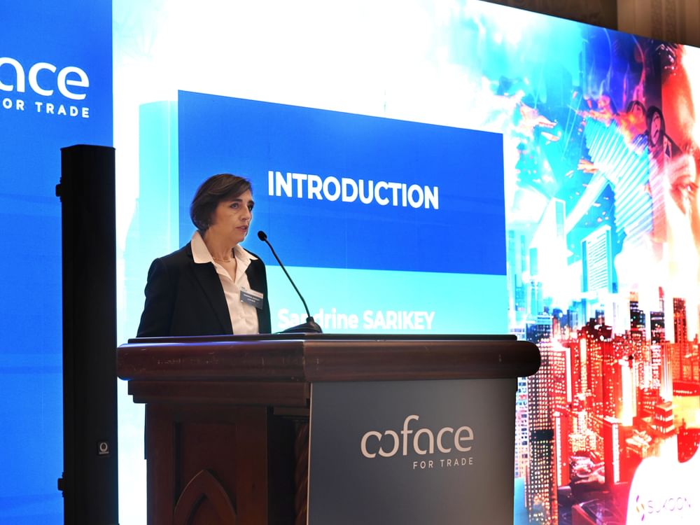 UAE’s location offers strategic edge amid changing global trade dynamics: Coface