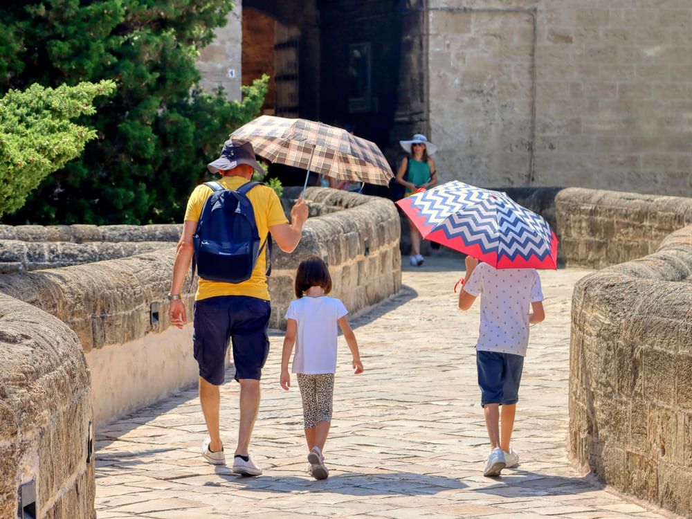 Extreme heat kills more than 1,300 prople in Portugal