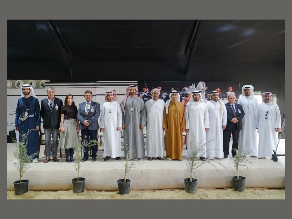 منافسات قوية في مزاينة الظفرة بمشاركة 100 خيل