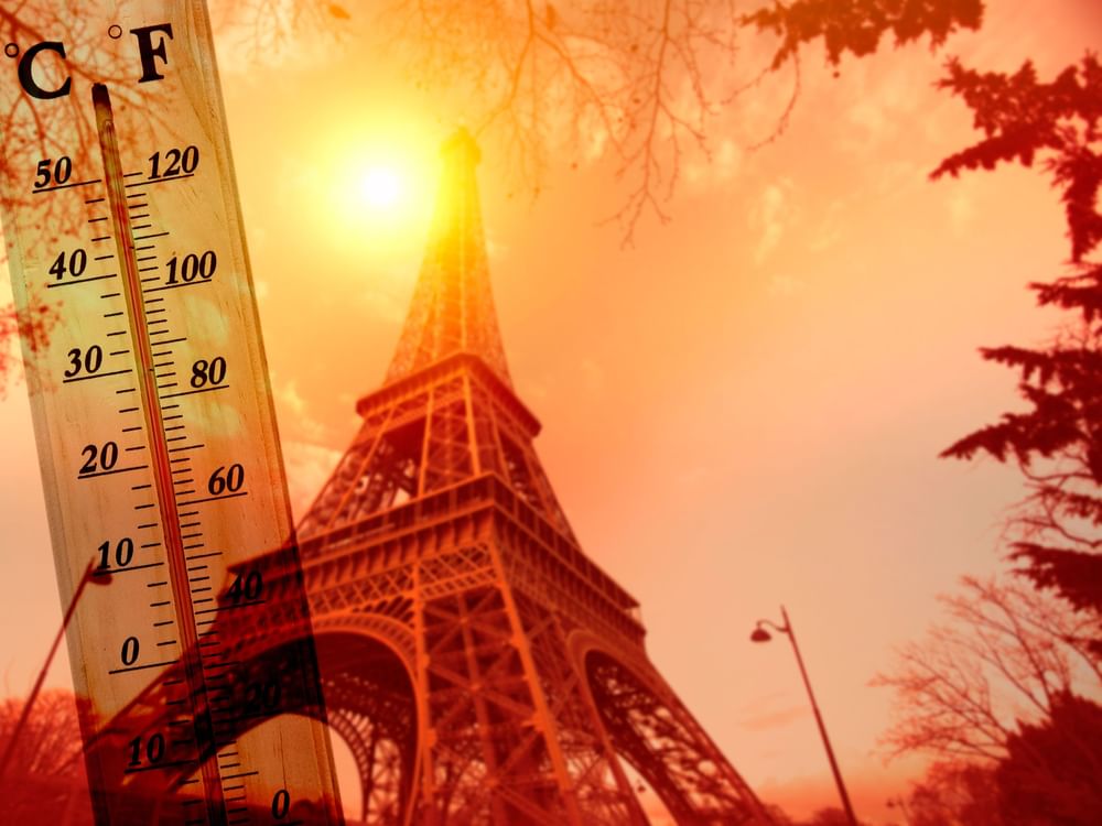 Extreme heat kills 74 people in France, Germany records unprecedented temperature