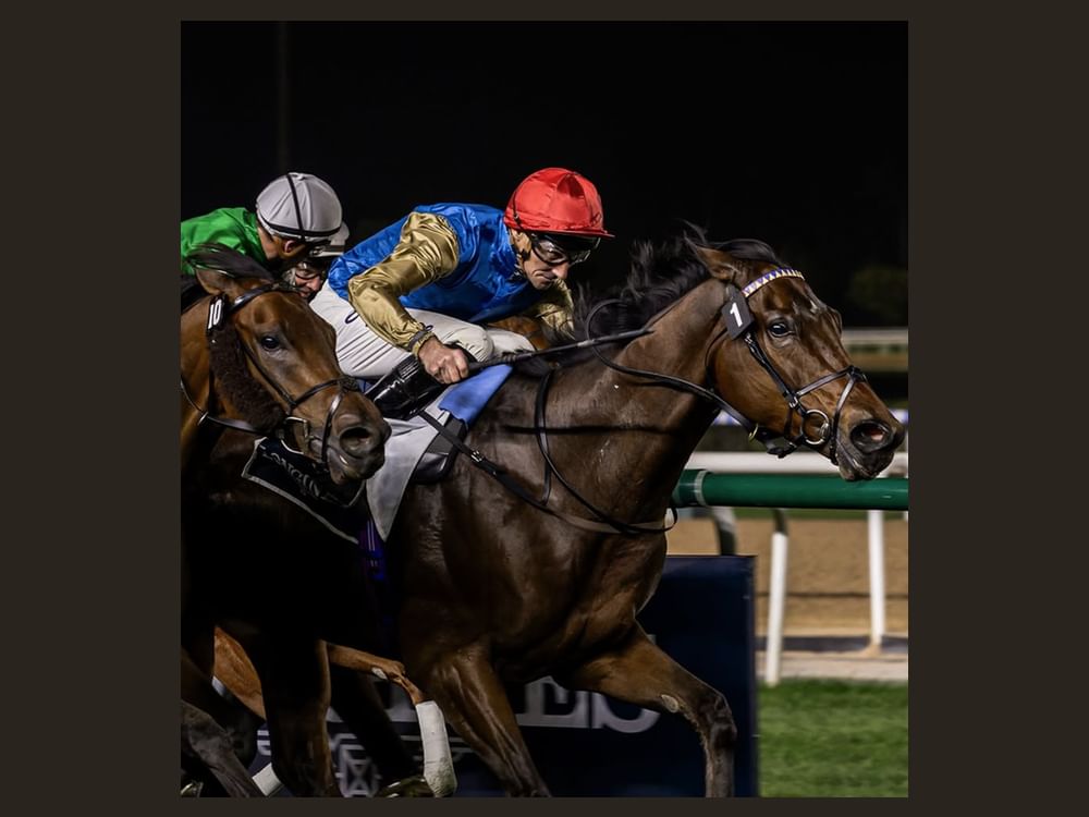 "دبي لسباق الخيل" يخصص جزءاً من عائدات أمسيات رمضان لدعم مؤسسة محمد بن راشد الخيرية