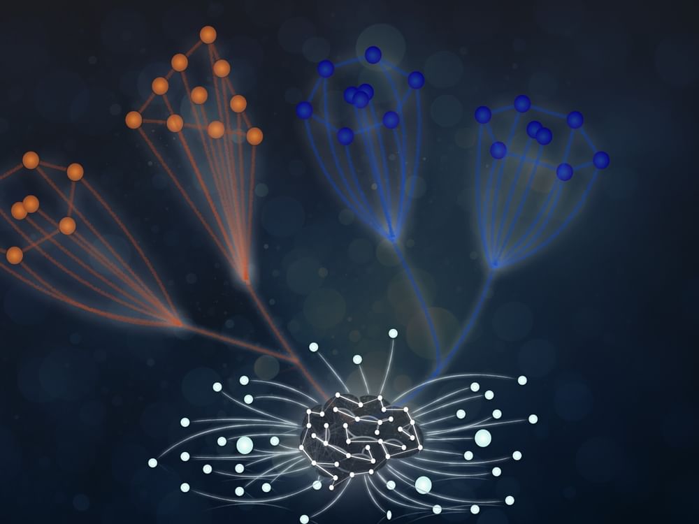 NYU Abu Dhabi study shows AI can rediscover fundamental physics laws