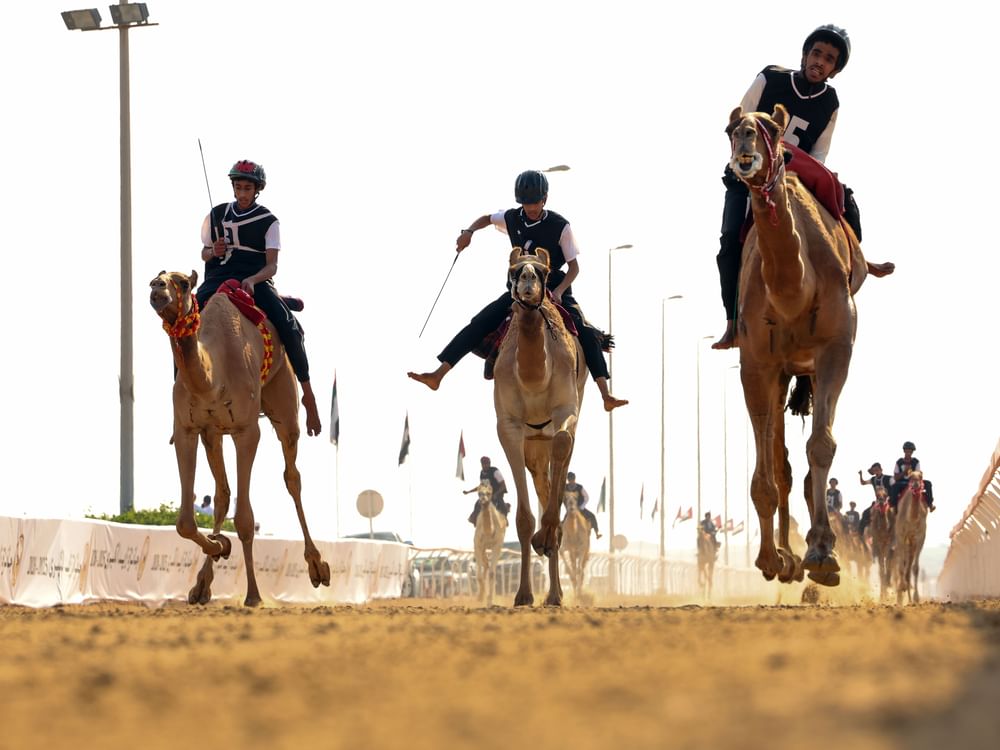 اتحاد الهجن يفتح باب التسجيل للمشاركة في سباق الماسترز "أبوظبي 2026"