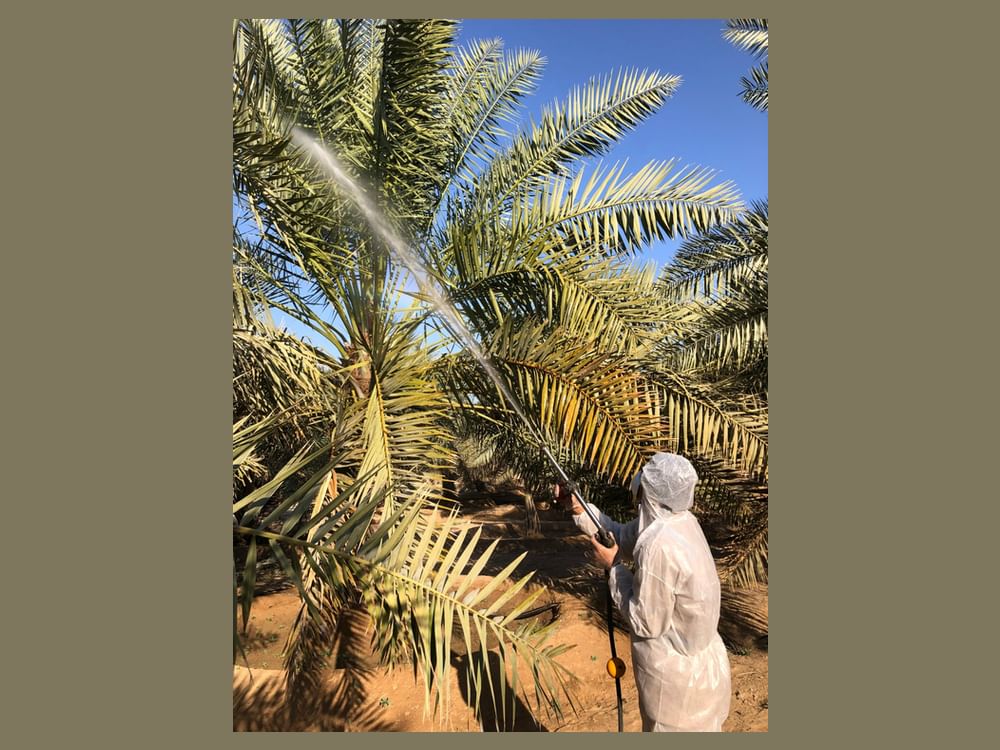 ADAFSA reaffirms commitment to strengthening food security through plant protection