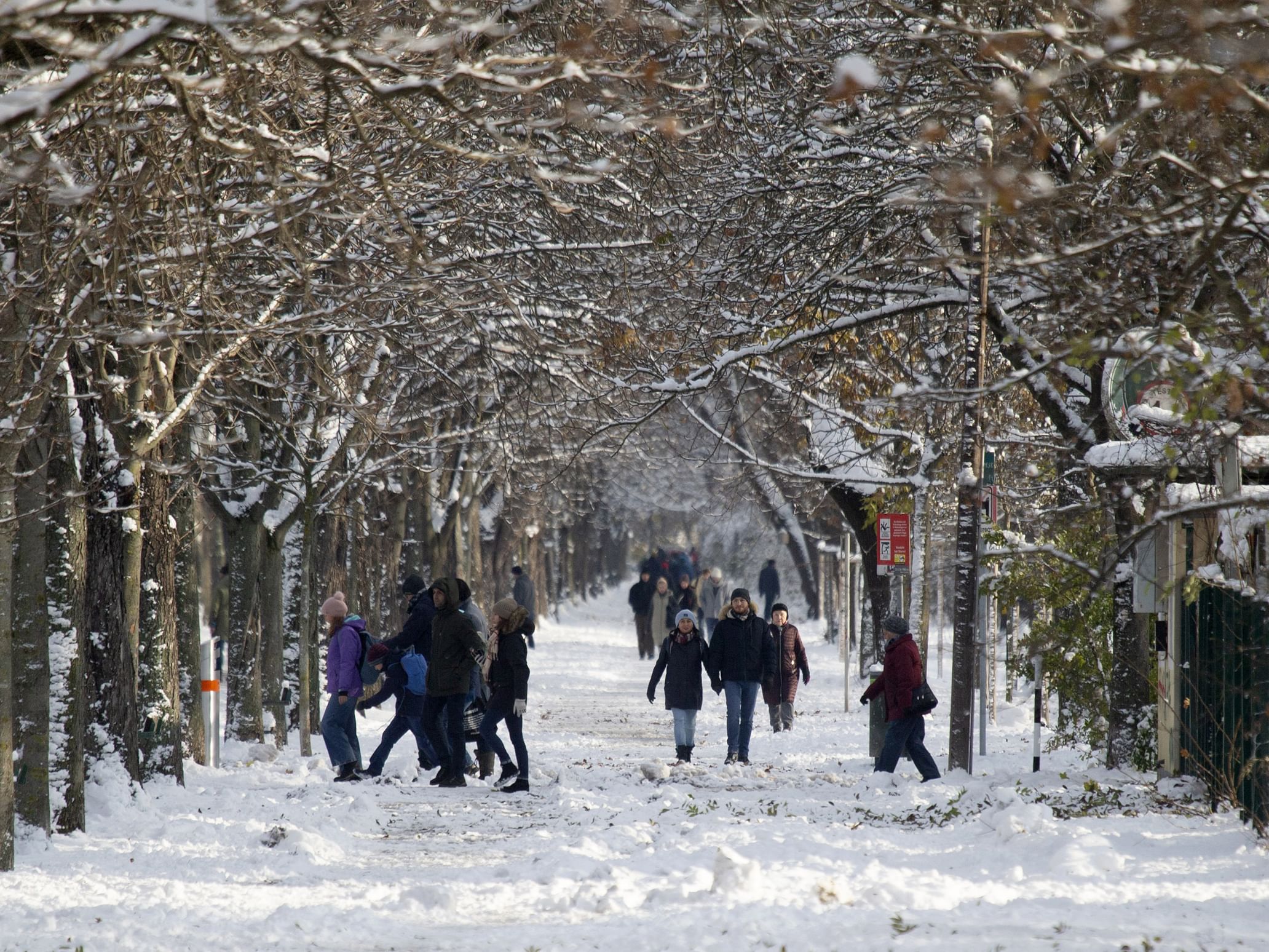 强降雪和严寒影响多国 欧洲多地生活受扰