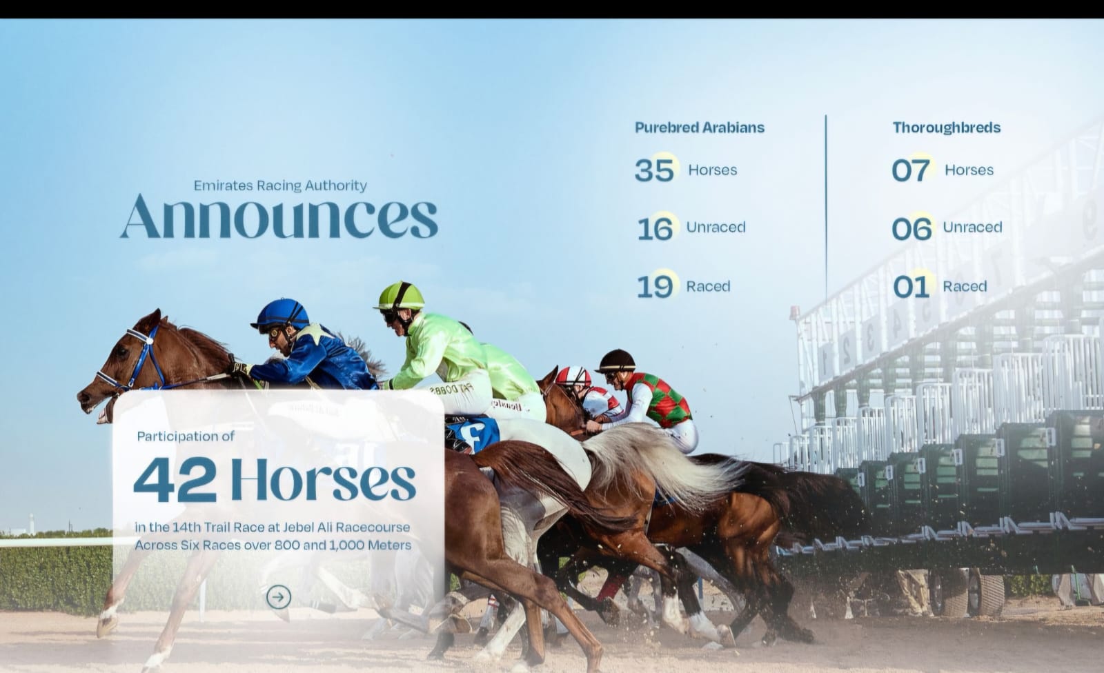 42 Horses participate in 14th Trial Race at Jebel Ali Track