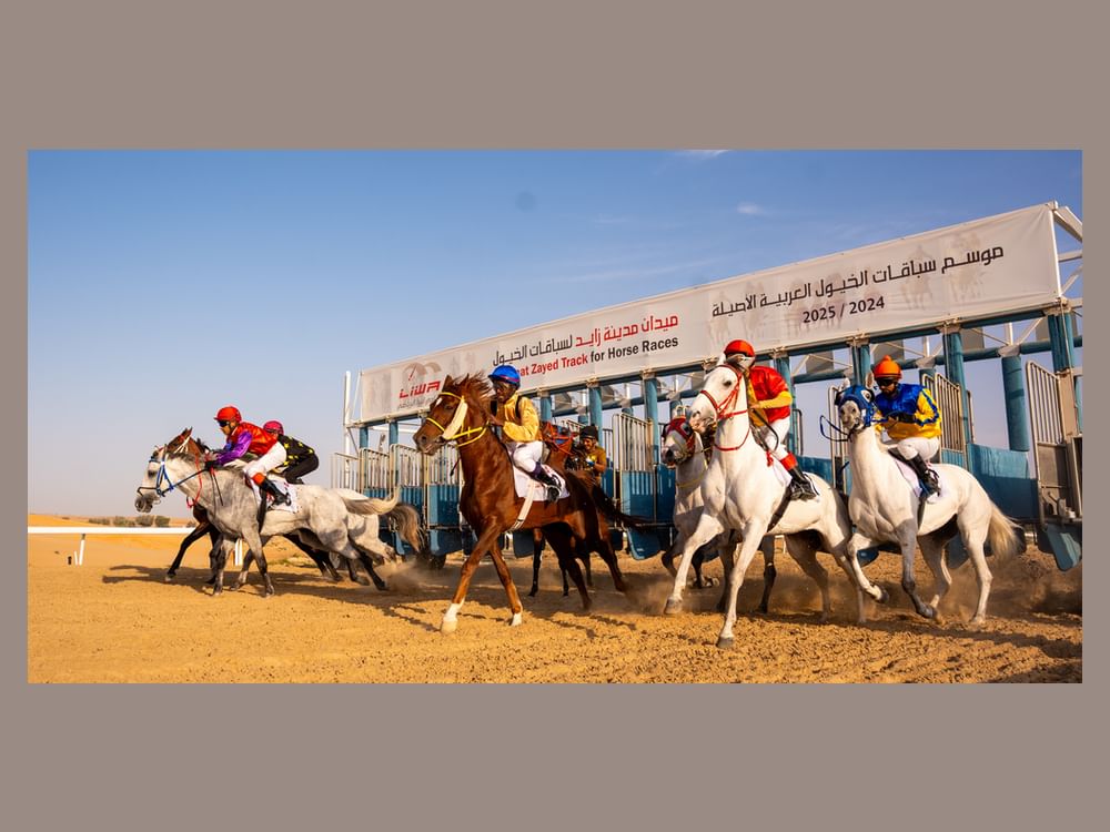 غدا .. انطلاق السباق التاسع للخيول العربية الأصيلة في الظفرة