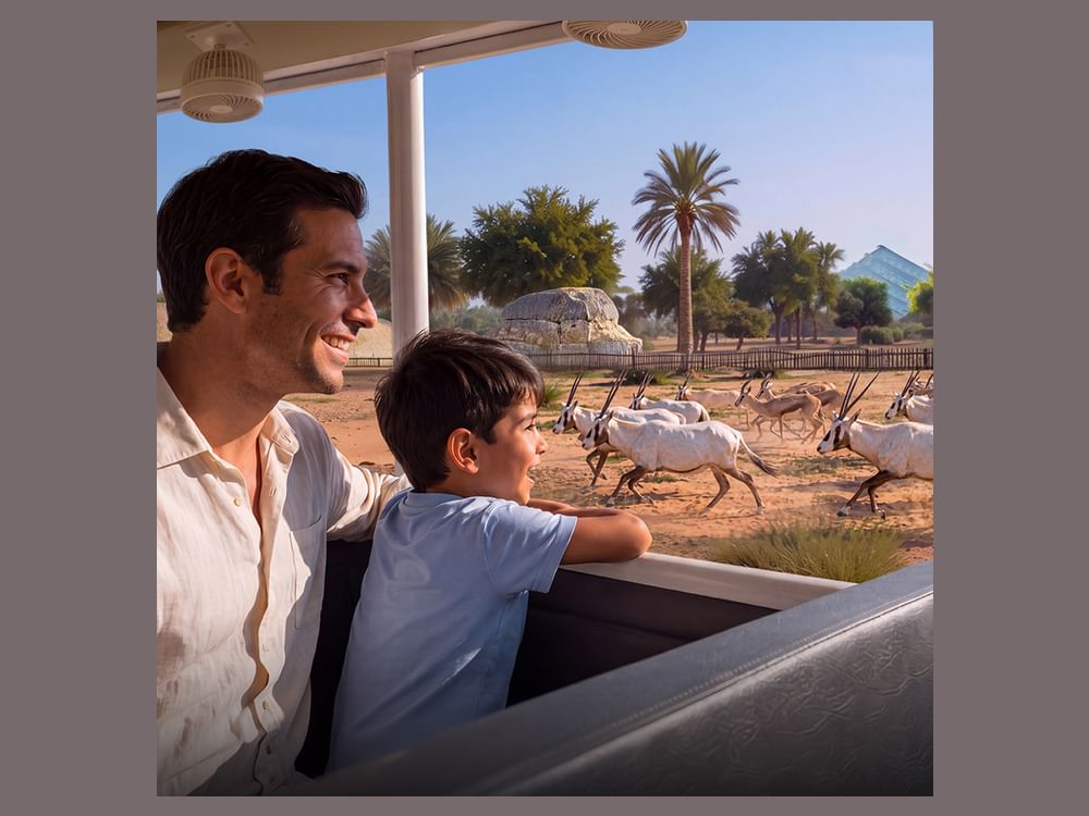 Dubai Safari Park gears up to welcome visitors for Season 8 from 12 October