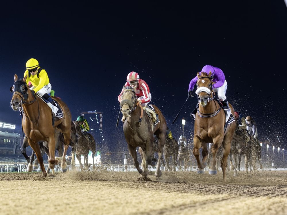 "ميدان" يستضيف أول أمسية سباقات للتوعية بالتوحد مارس المقبل