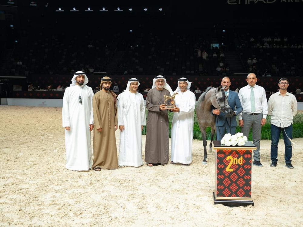 انطلاق بطولة أبوظبي الدولية لجمال الخيل العربية بمشاركة 369 خيلاً