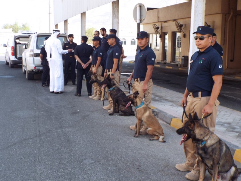FCA begins first customs inspection operation using dogs | Emirates ...