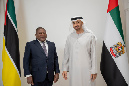 UAE President, Mozambique's President review bilateral relations ...