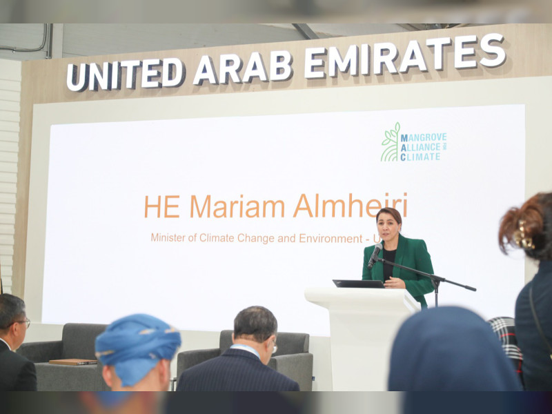 UAE, Indonesia unveil Mangrove Alliance for Climate at COP27 | Emirates ...