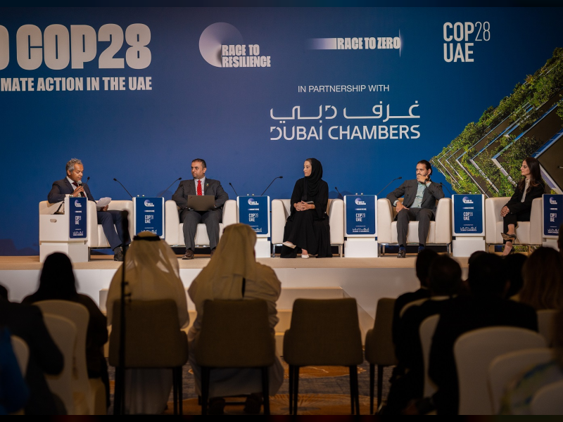 UAE Alliance for Climate Action announces new members at Road to COP28 ...