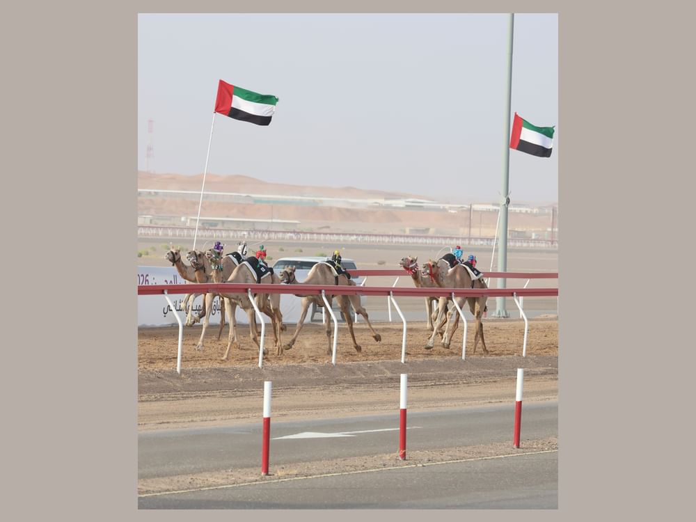"نور" و"غازي" يتألقان بالصدارة و"أفضل توقيت" في "الثنايا" بمهرجان العين للهجن