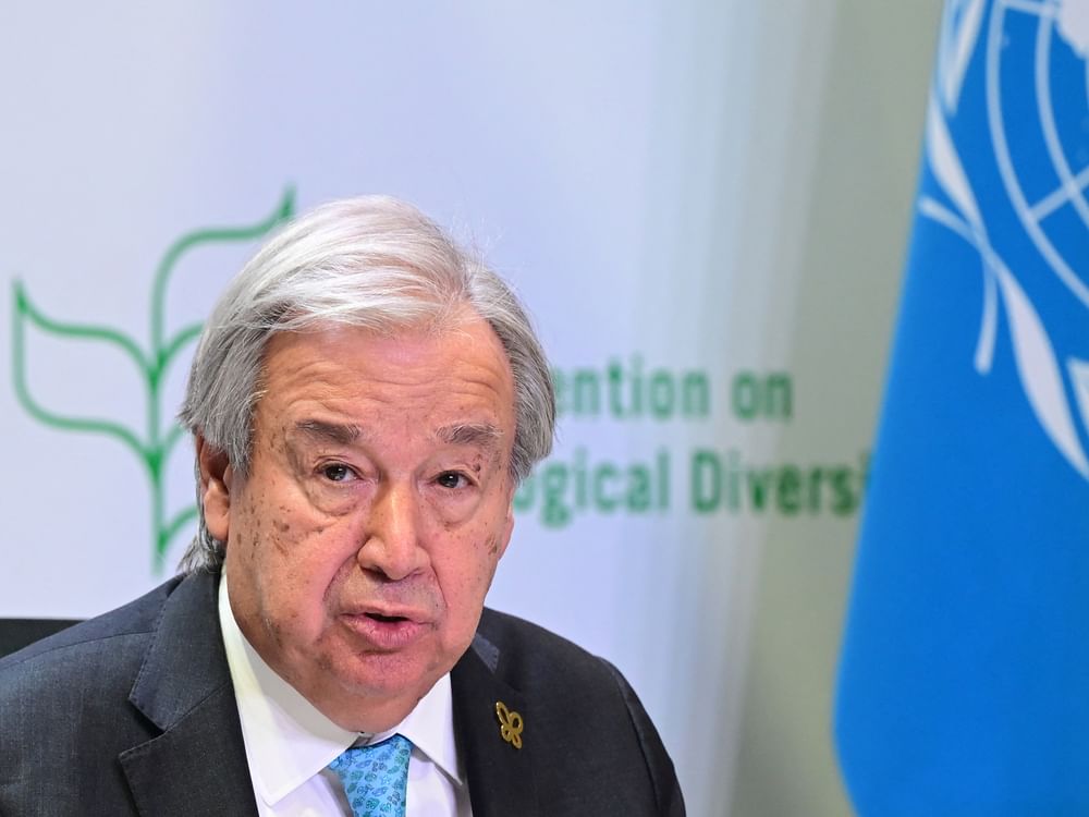 Guterres calls for urgent global action to protect biodiversity
