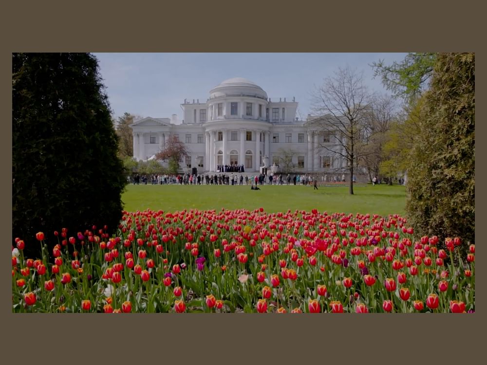 13th Tulip Festival opens at Yelagin Island