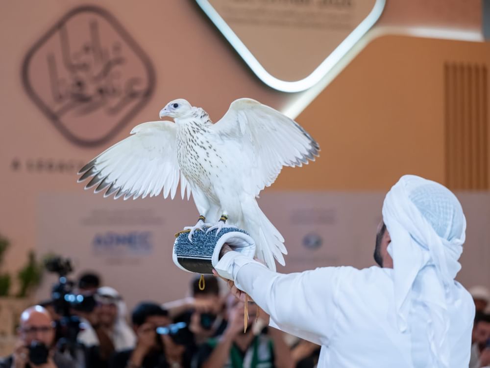 Falcon sets world auction record at AED2.1 million in Abu Dhabi