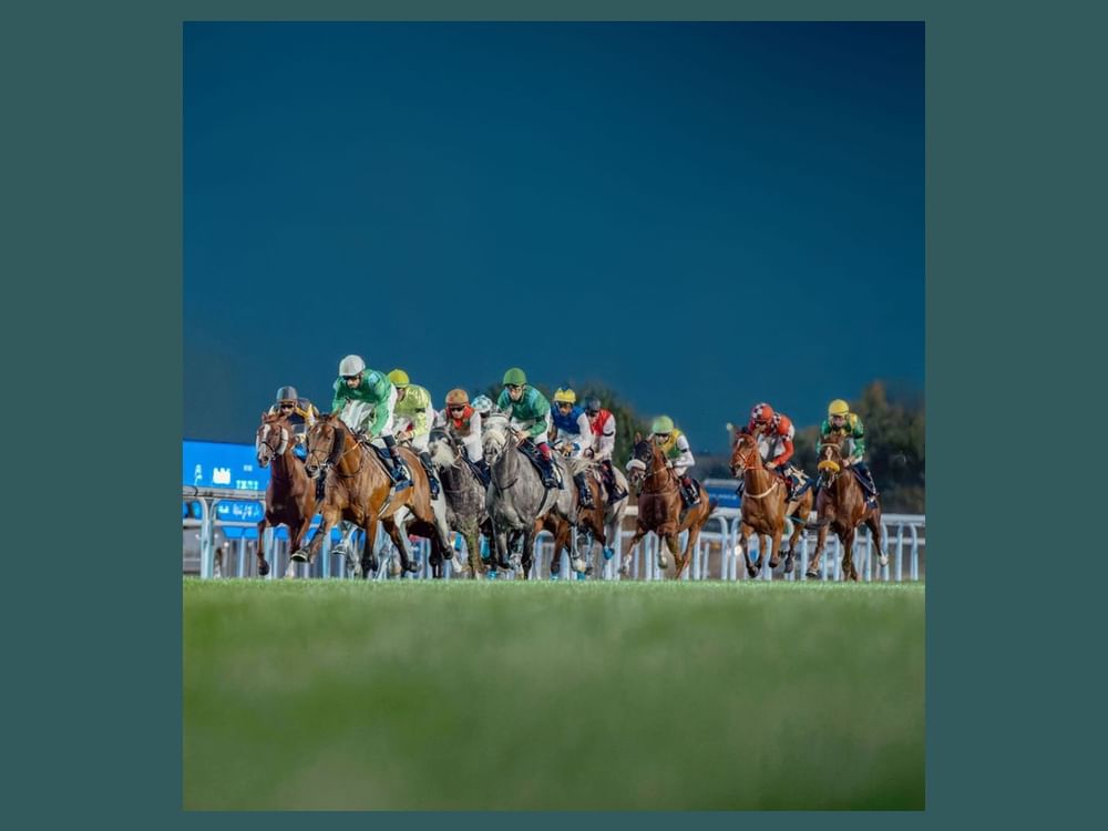 Abu Dhabi Turf Club hosts Eid Al Etihad Cup tomorrow