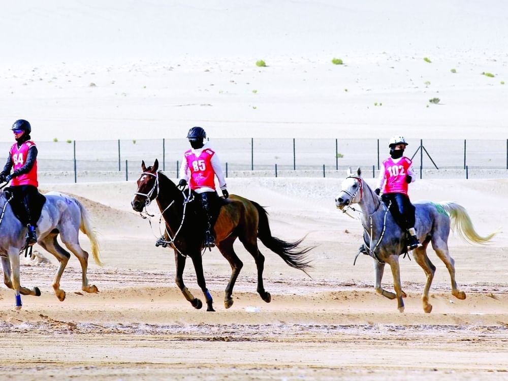  "سباق السيدات" للقدرة والتحمل ينطلق غدا بالوثبة