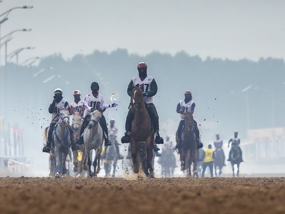 سباق كأس الإمارات للخيول العربية للقدرة ينطلق غدا بالوثبة