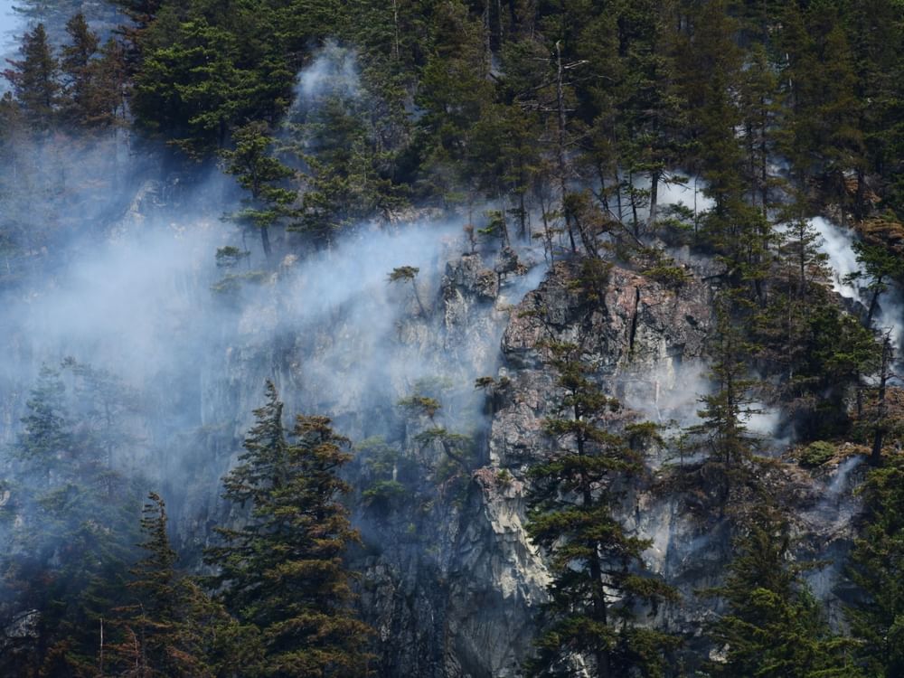 Canada's wildfires burn more than 5.5 million hectares