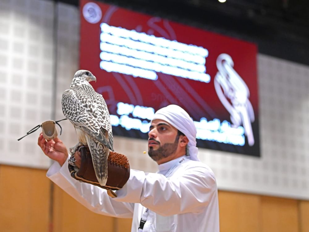 بدء مزادات الصقور  بعد غد قبيل انطلاق معرض أبوظبي الدولي للصيد والفروسية