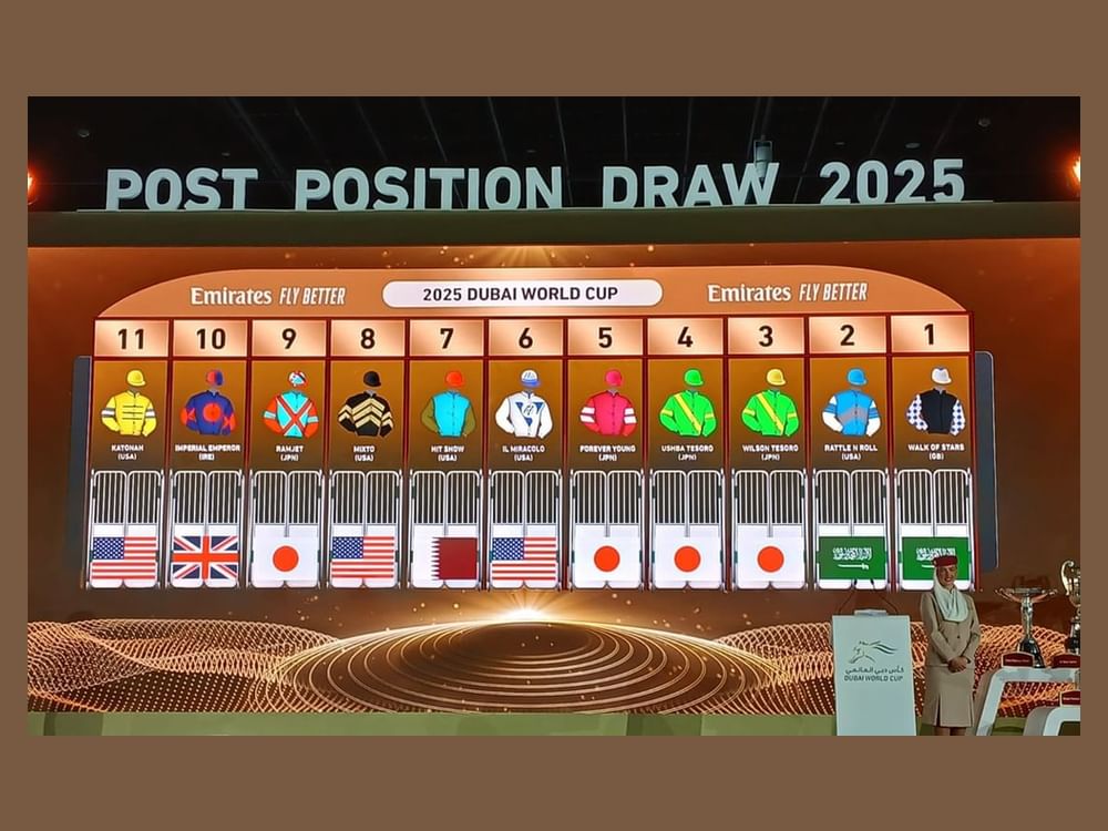Global racing giants clash: 13 nations vie for Dubai World Cup glory