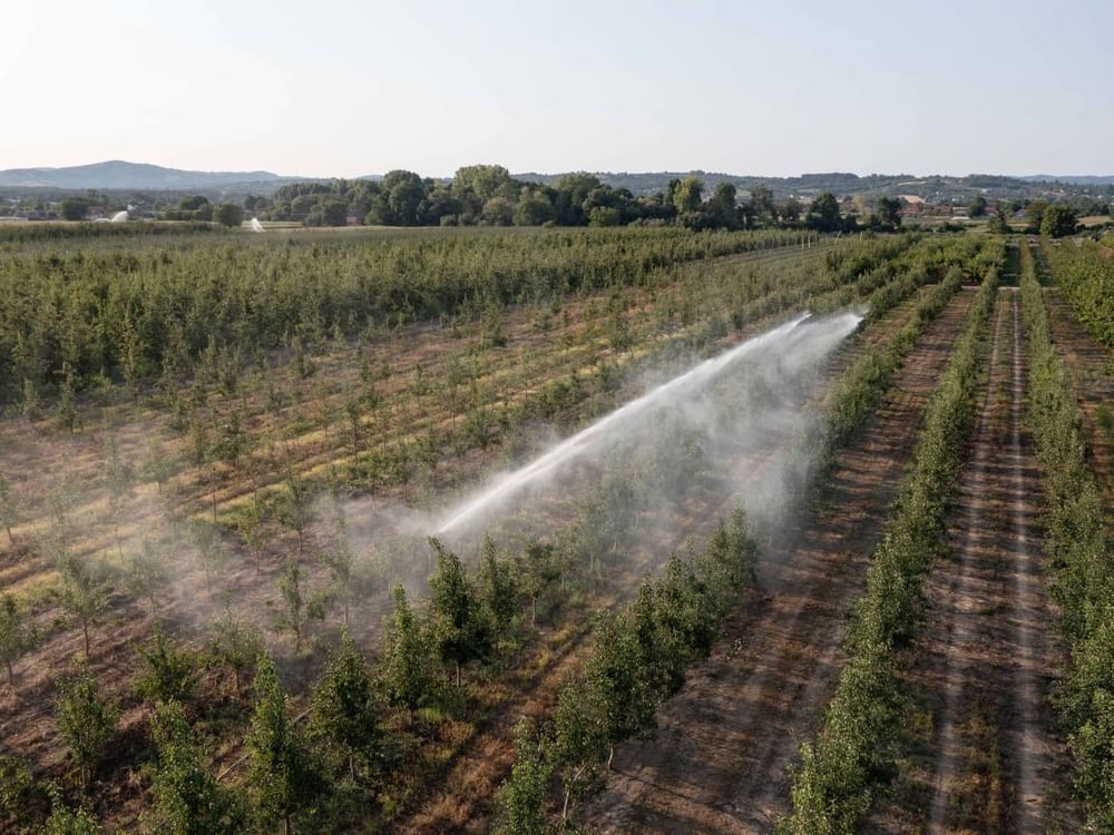 ADFD strengthens water security for Serbian agriculture