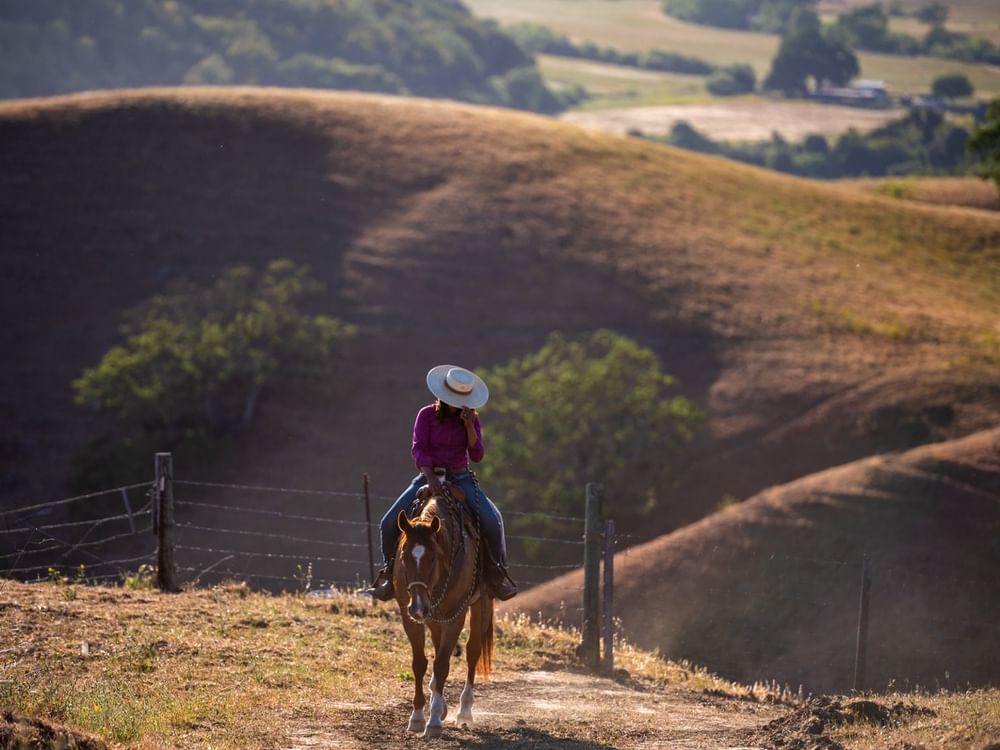 اكسبوجر 2026 يوثق حكايات بصرية عبر عدسات أبرز مصوري البورتريه العالميين