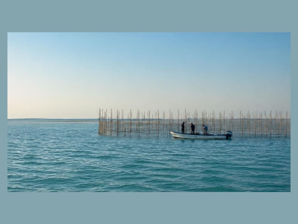 EAD extends fixed-gear fishing season until 31 October2026
