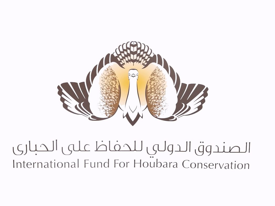 الصندوق الدولي للحفاظ على الحبارى يشارك بمنصة تعريفية في سباقات قرى الإمارات للجري 