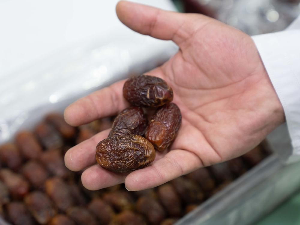 Al Dhafra Dates Festival celebrates UAE’s agricultural heritage