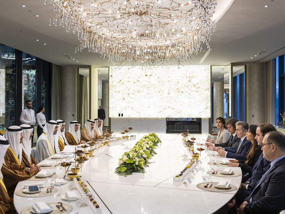 UAE President meets honorary chairman of ruling Georgian Dream Party