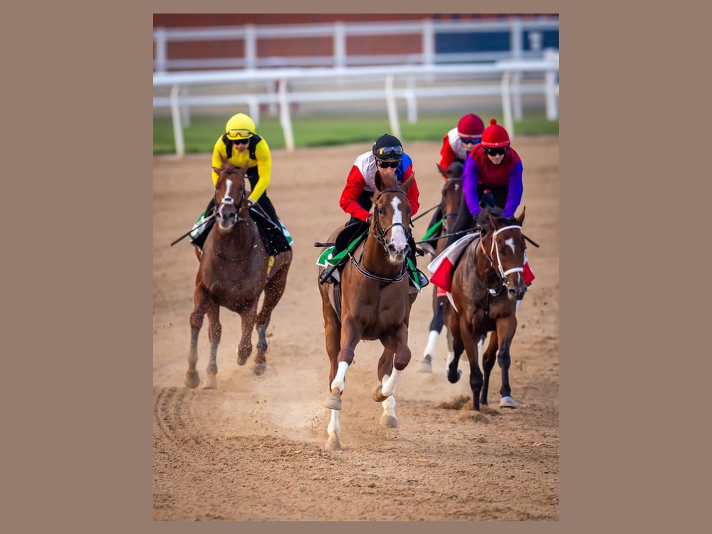 هيئة الإمارات لسباق الخيل تعلن تفاصيل "السباق التجريبي" الخامس بمضمار ميدان