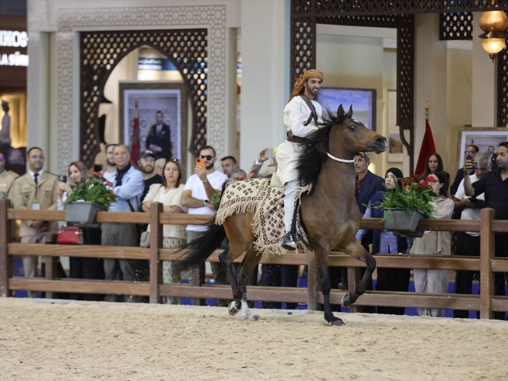 جناح الدولة بمعـرض الفـرس للجديدة بالمغرب يستقطب أعدادا كبيرة من الزوار