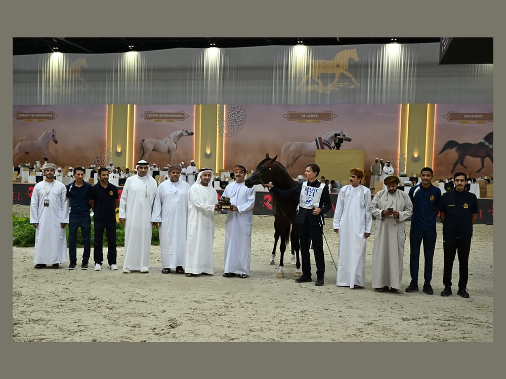 تأهل 24 خيلاً إلى نهائيات بطولة دبي الدولية للجواد العربي  