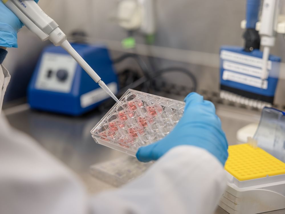 NYUAD researchers develop nanotechnology to improve cancer detection, treatment